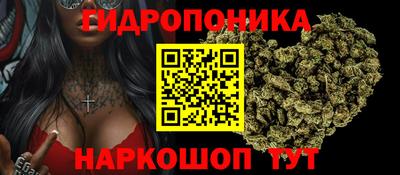 дурь Кимры