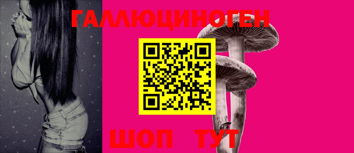 Галлюциногенные грибы GOLDEN TEACHER  цены   Псилоцибиновые грибы Cubensis  Чехов  Вход с VPN 